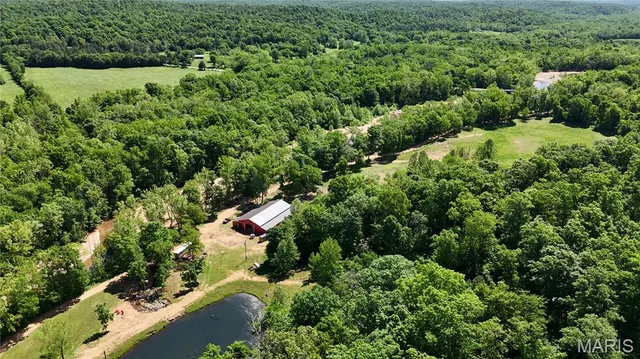 $1,300,000 | 352 Madison Wayne 9305, Marquand, MO 63655