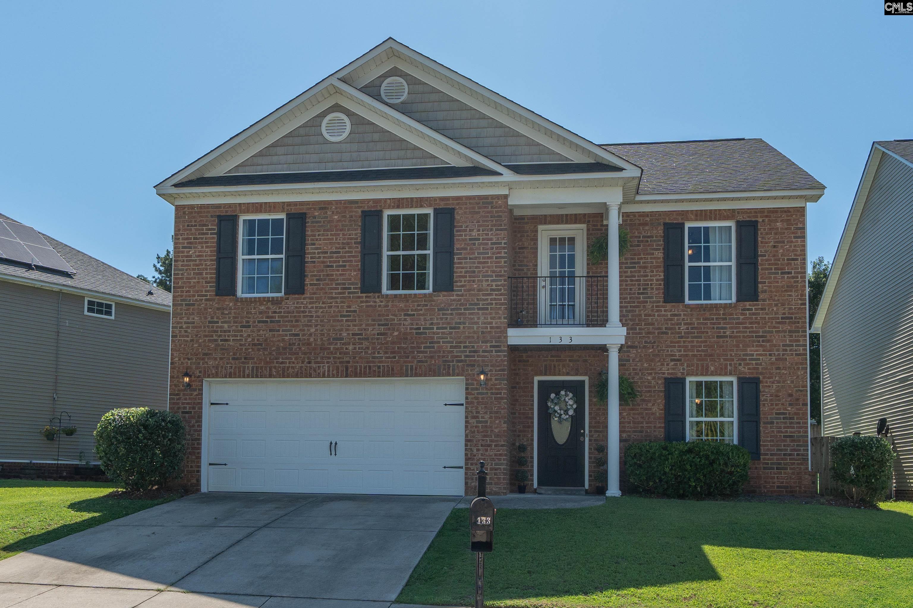 133 Palm Street Chapin, SC 29036 - Photo 2 of 37