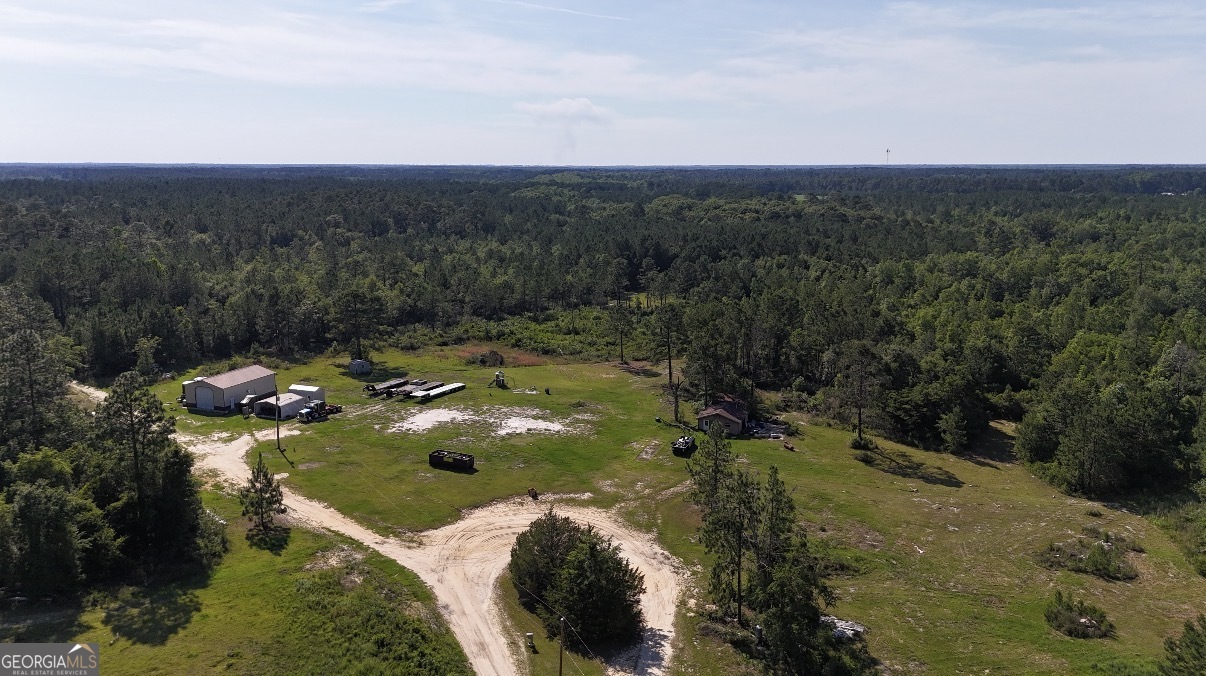 1087 Green Morgan School Road Clyo, GA 31303 - Photo 2 of 24
