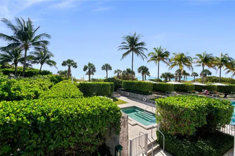 a view of a backyard with plants