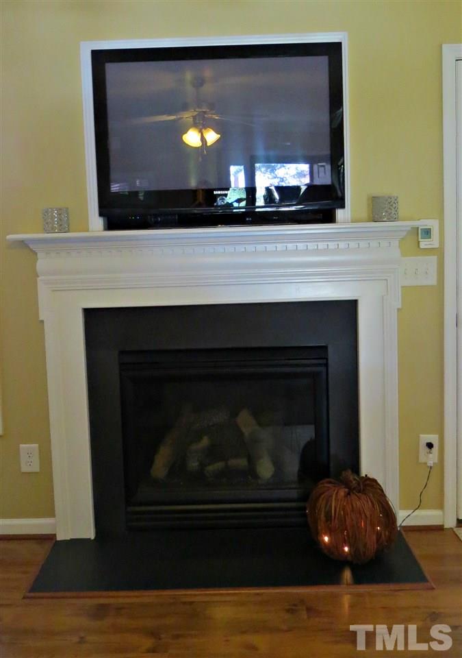 192 Williams Road Coats, NC 27521 - Photo 6 of 25 Gas Log Fireplace