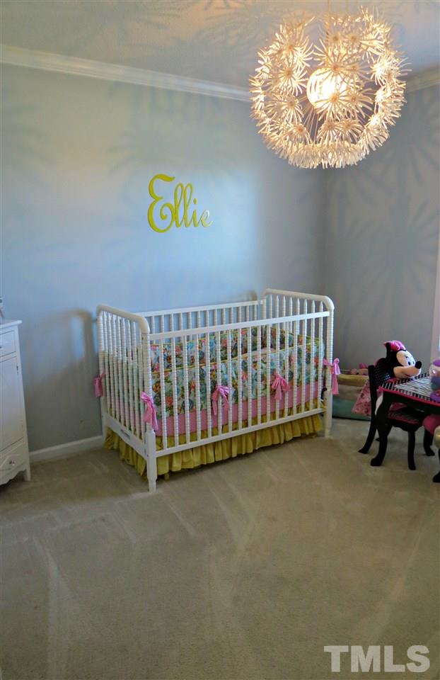 192 Williams Road Coats, NC 27521 - Photo 10 of 25 Gallery Image 10
