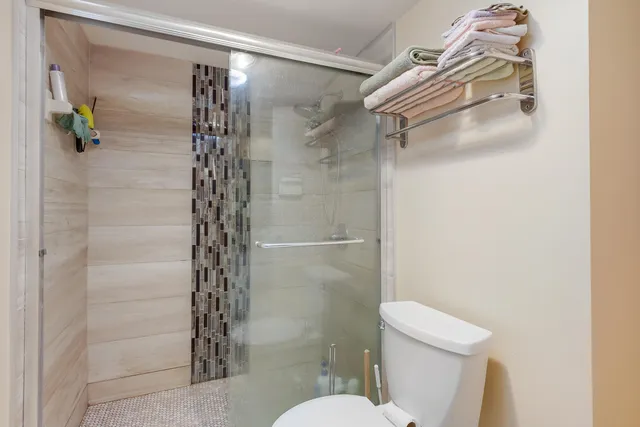 a bathroom with a shower and a toilet