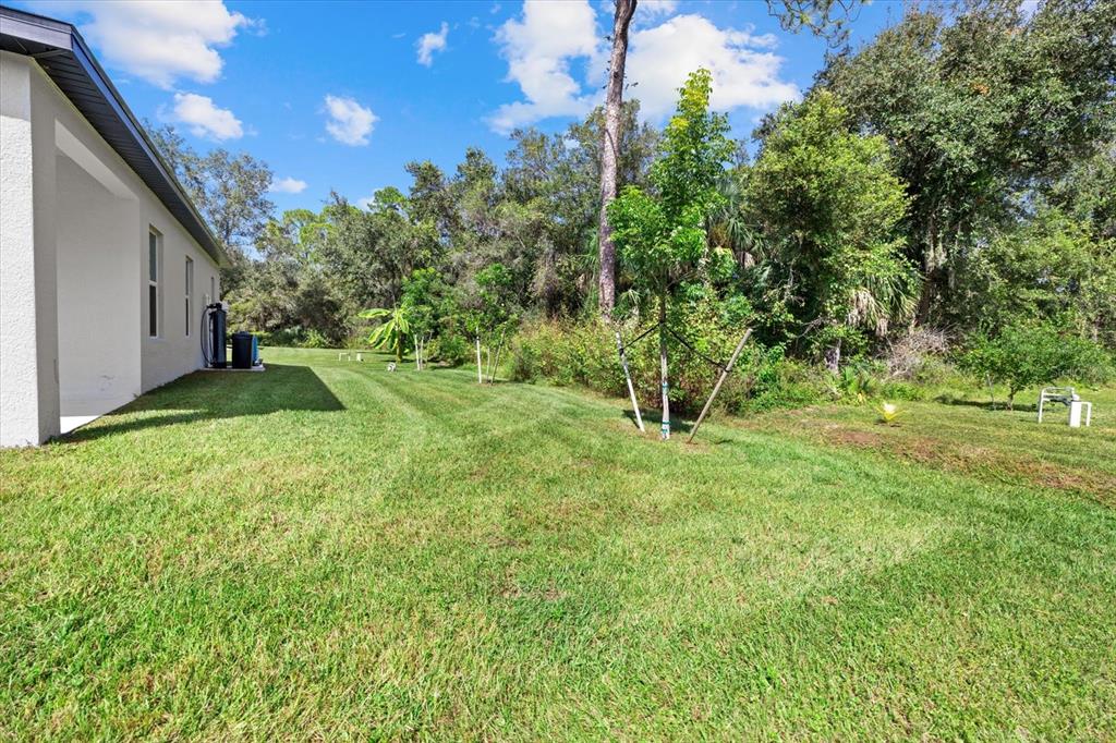 2404 Hanford Lane North Port, FL 34288 - Photo 5 of 26 a big yard with lots of green space and plants