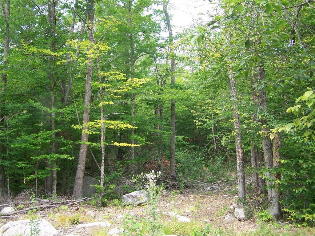 804 Main Road Burlington, ME 04417 - Photo 11 of 29 Photo
