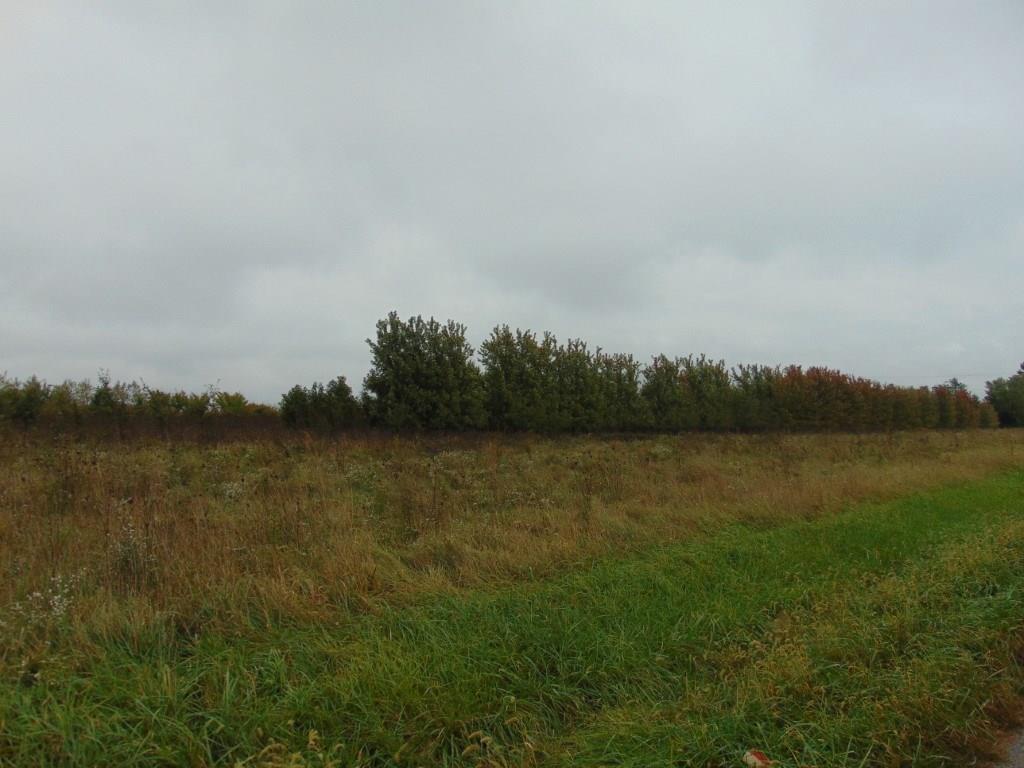 0 State Rte 703 St. Marys, OH 45885 - Photo 4 of 7