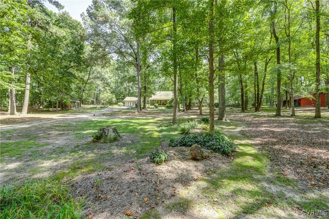12506 Stagfield Road Ashland, VA 23005 - Photo 34 of 46 Gallery Image 34
