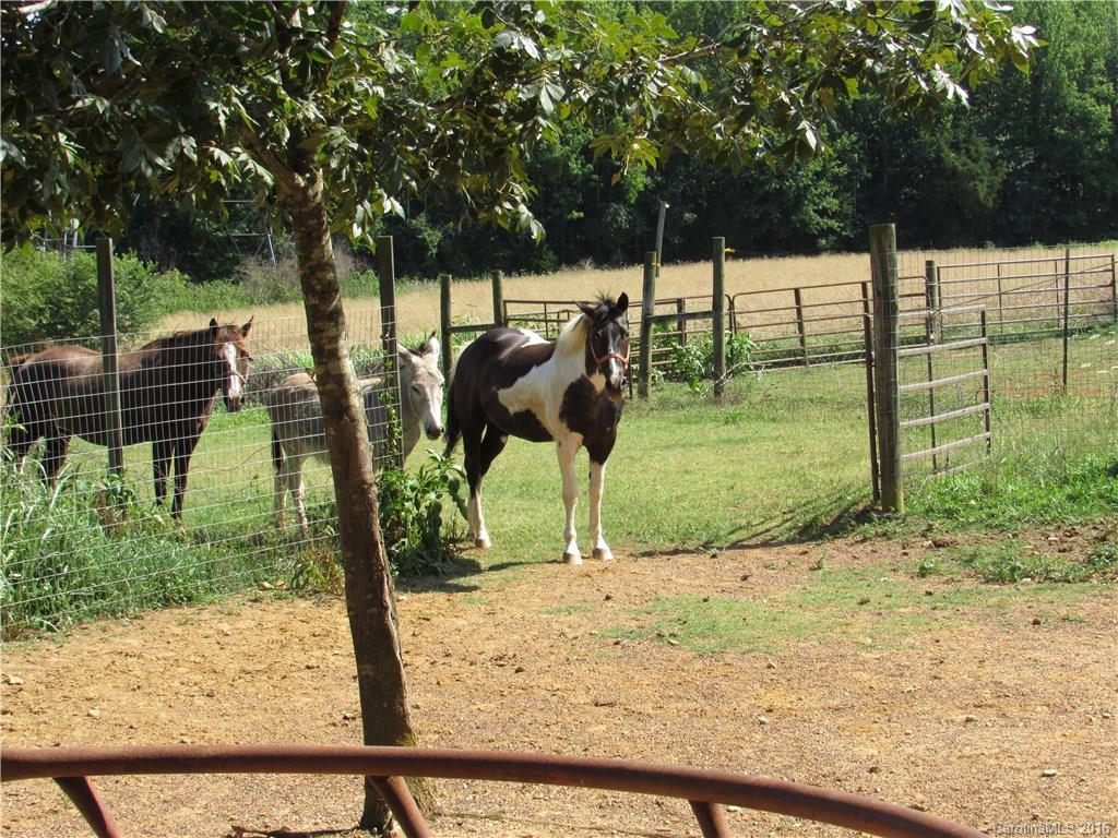 3322 Edwards Road Wingate, NC 28174 - Photo 18 of 20 Gallery Image 18