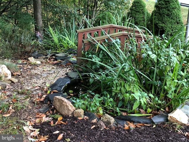 1217 Brookview Road Baltimore, MD 21286 - Photo 11 of 16 a view of a plant in a garden