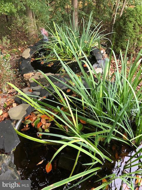 1217 Brookview Road Baltimore, MD 21286 - Photo 13 of 16 a view of a backyard with plants