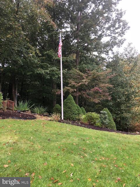 1217 Brookview Road Baltimore, MD 21286 - Photo 14 of 16 a view of a yard with a tree