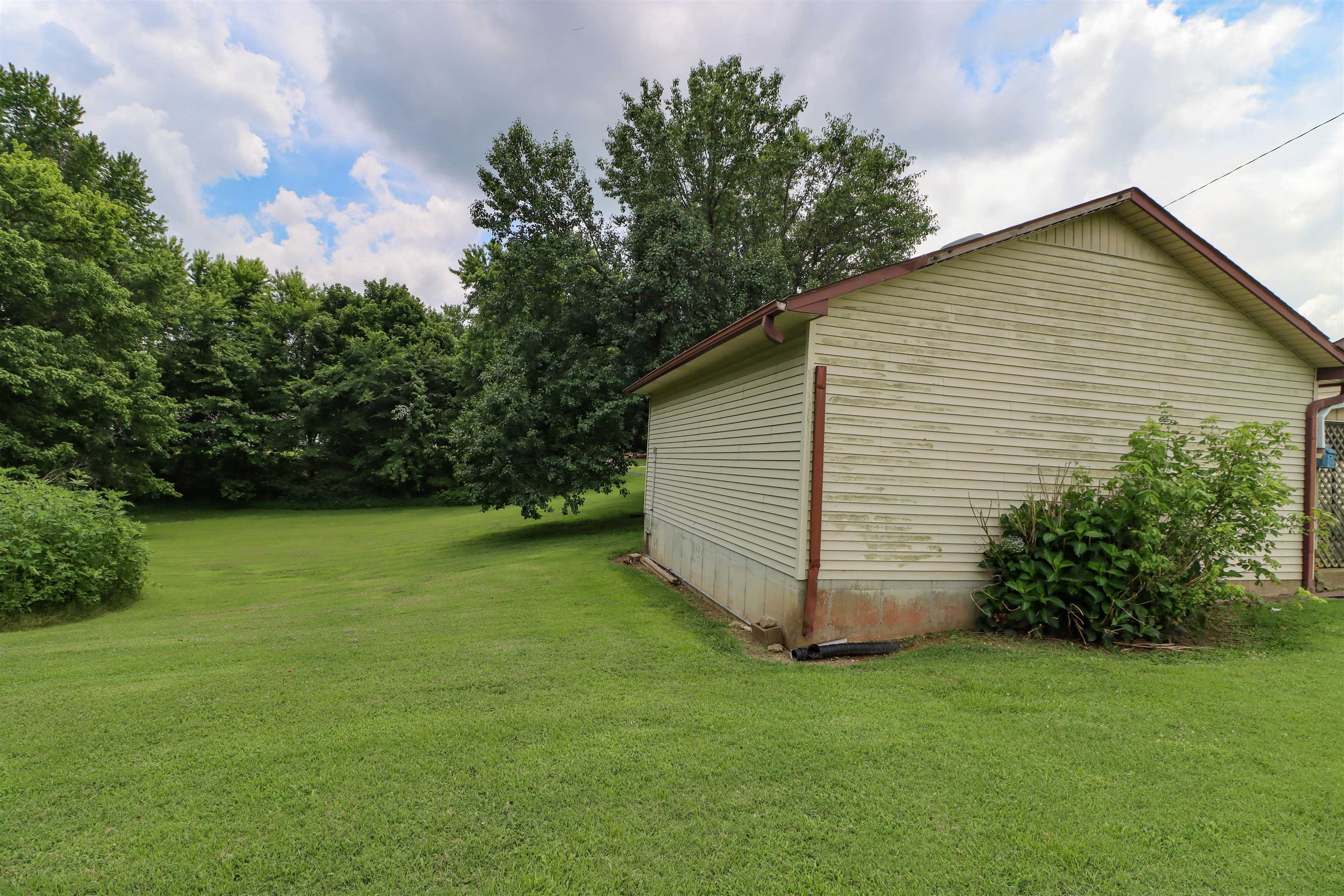 2250 Chisholm Lake Road Ripley, TN 38063 - Photo 31 of 32 a view of a backyard with potted plants and large tree
