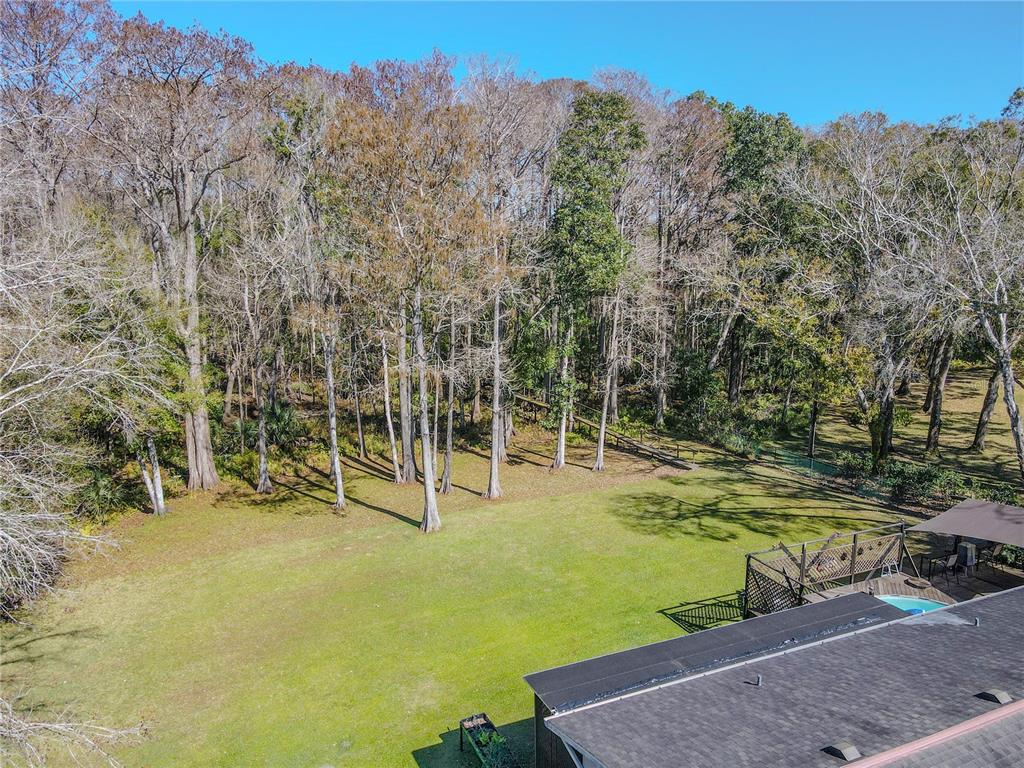 9251 Star Trail New Port Richey, FL 34654 - Photo 3 of 64