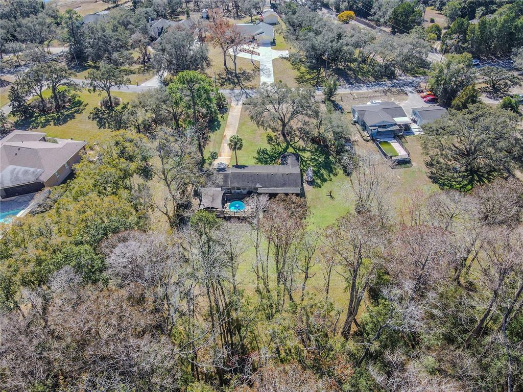 9251 Star Trail New Port Richey, FL 34654 - Photo 62 of 64