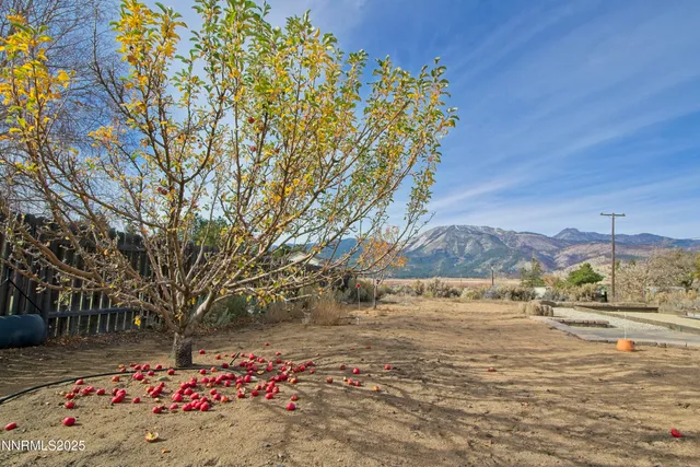 a view of a pathway with a yard