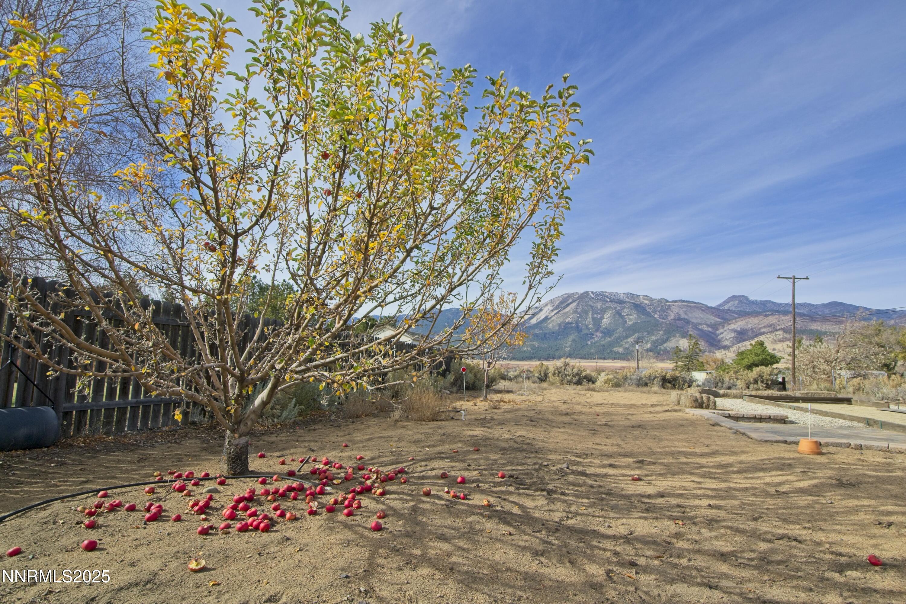 1905 Lakeshore Drive Washoe Valley, NV 89704 - Photo 29 of 31 a view of a pathway with a yard