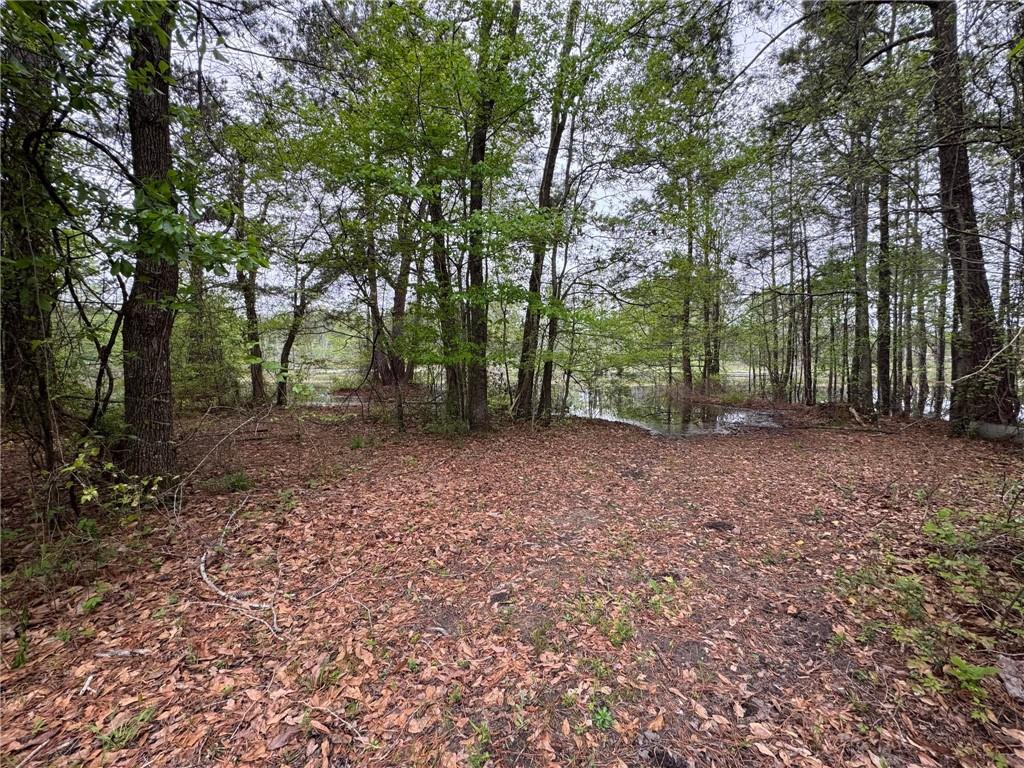 280 Owens Road Fort Mitchell, AL 36856 - Photo 31 of 56 View of nature