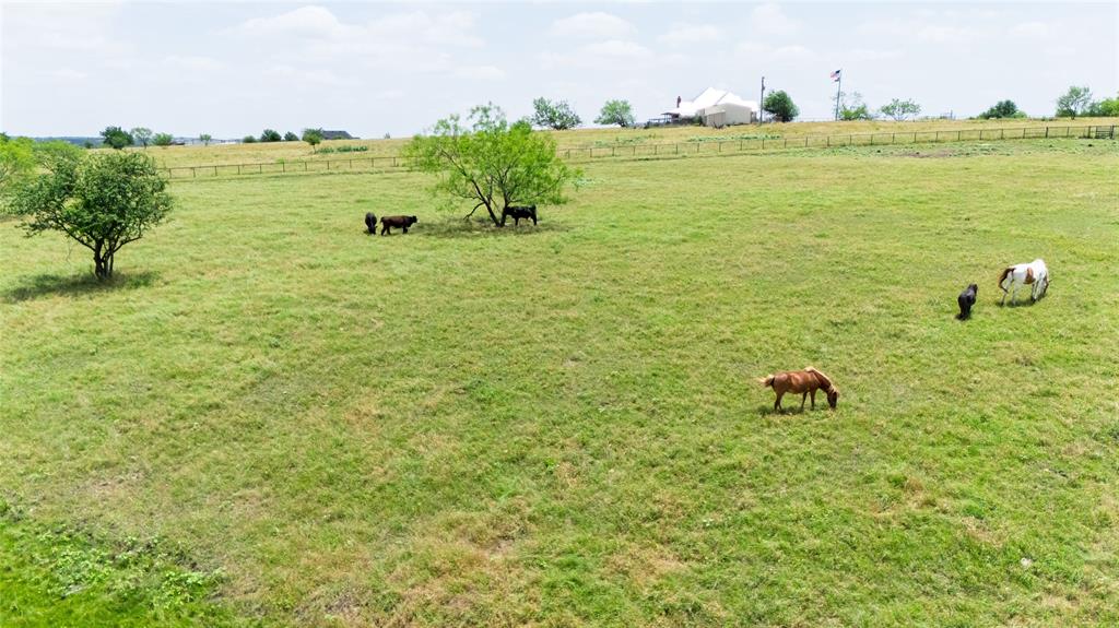 5559 County Road 4010 Decatur, TX 76234 - Photo 18 of 40