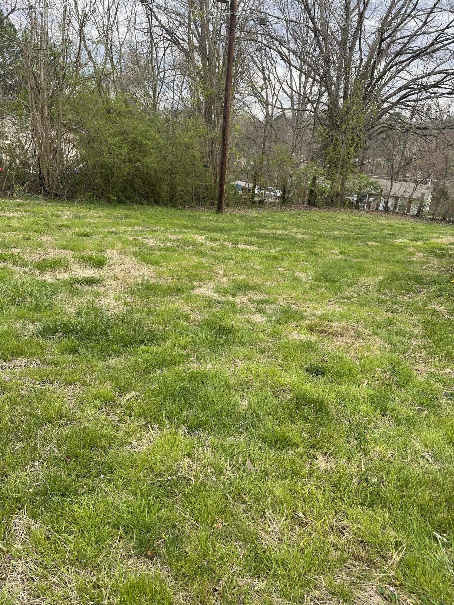 128 Crisp Road Lenoir City, TN 37771 - Photo 2 of 15