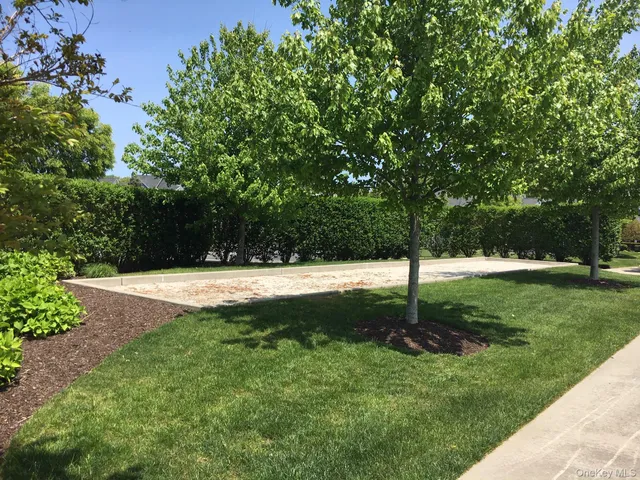 a view of yard with green space