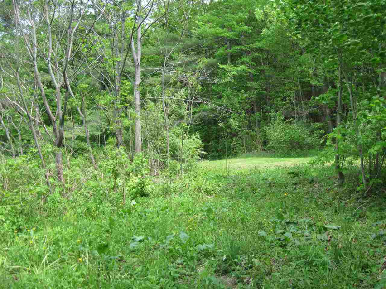 345 Forest Road Alstead, NH 03602 - Photo 8 of 11