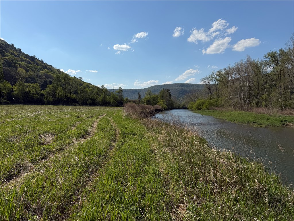 Lot 3 McChesney Road Cameron, NY 14819 - Photo 8 of 21