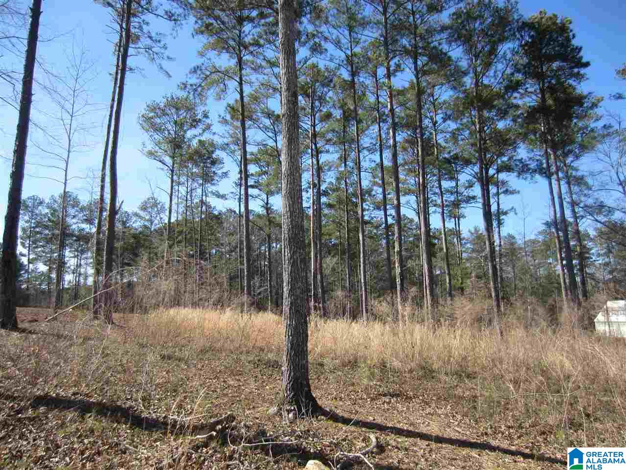 0 Timber Trail, Unit 28 Sylacauga, AL 35151 - Photo 10 of 22