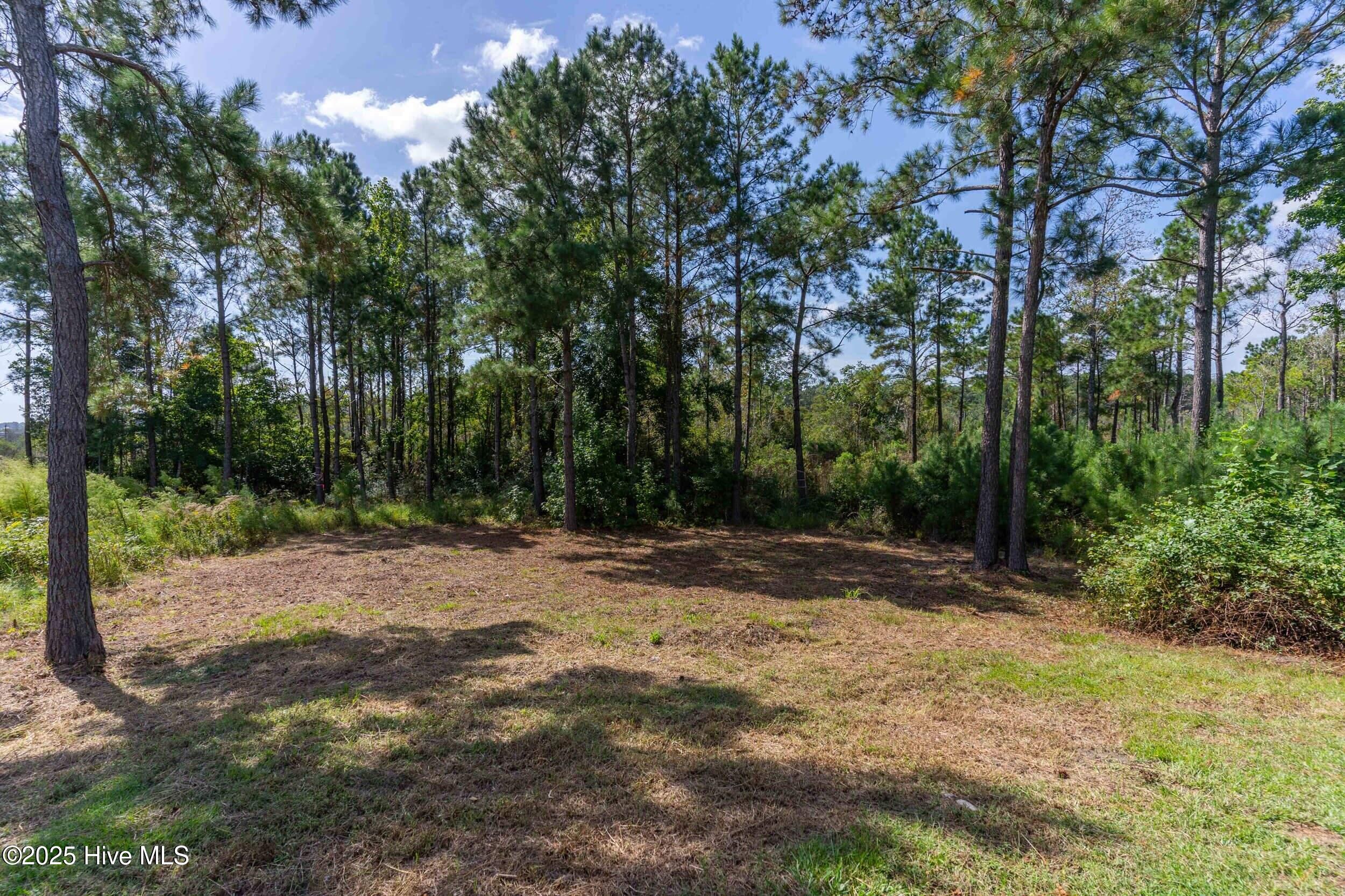 268 Kings Creek Crossing Holly Ridge, NC 28445 - Photo 8 of 46 268 kings creek xing 00007