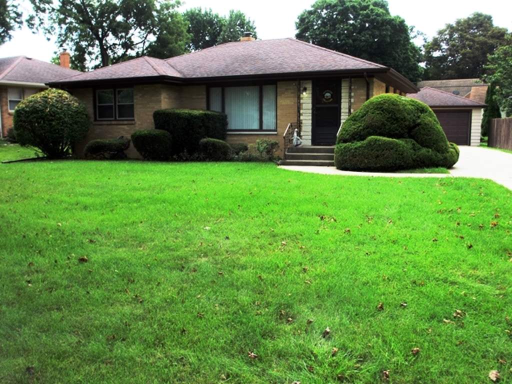 3729 Pinecrest Road Rockford, IL 61107 - Photo 1 of 22 a view of a house with a yard and a large tree