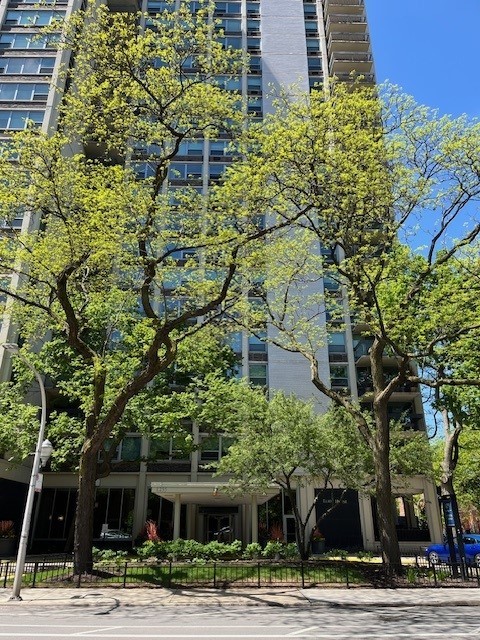 a front view of a building with tree s