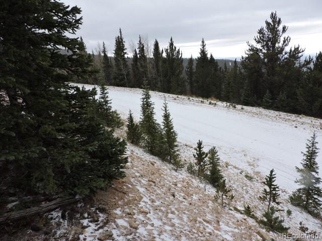 6874 Forbes Road Fort Garland, CO 81133 - Photo 5 of 12 Gallery Image 5