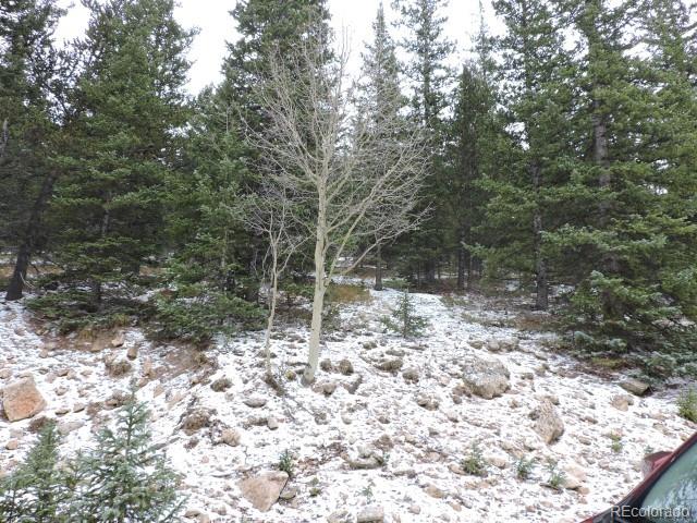 6874 Forbes Road Fort Garland, CO 81133 - Photo 10 of 12 Gallery Image 10