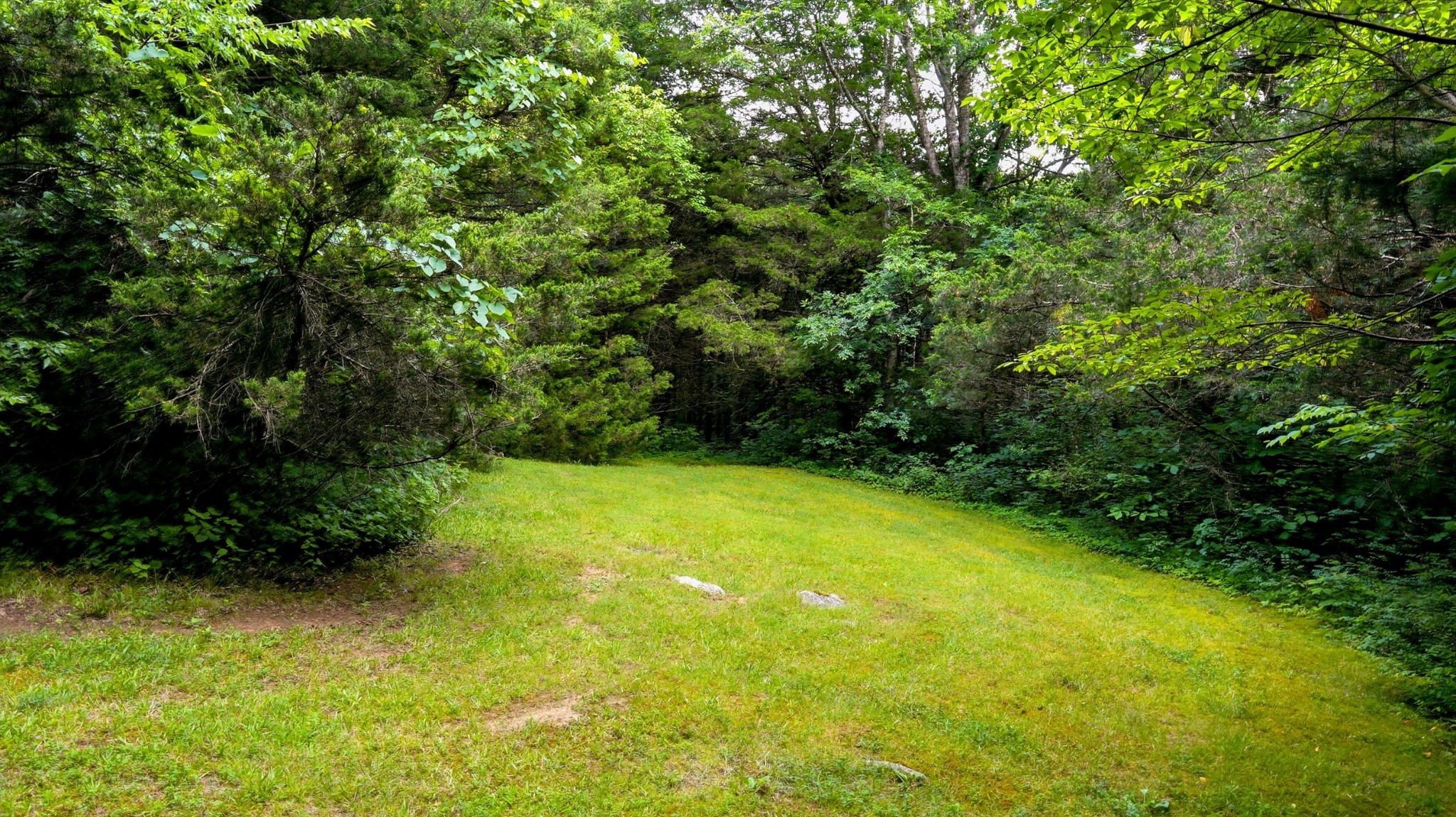 427 Adams Road Watertown, TN 37184 - Photo 32 of 68
