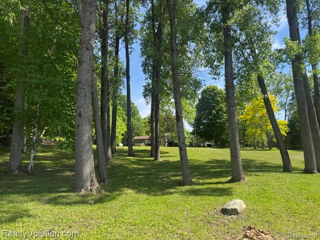 1702 Birch Road Attica, MI 48412 - Photo 21 of 38