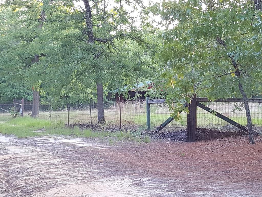 550 Pine Acres Road Windsor, SC 29856 - Photo 4 of 27