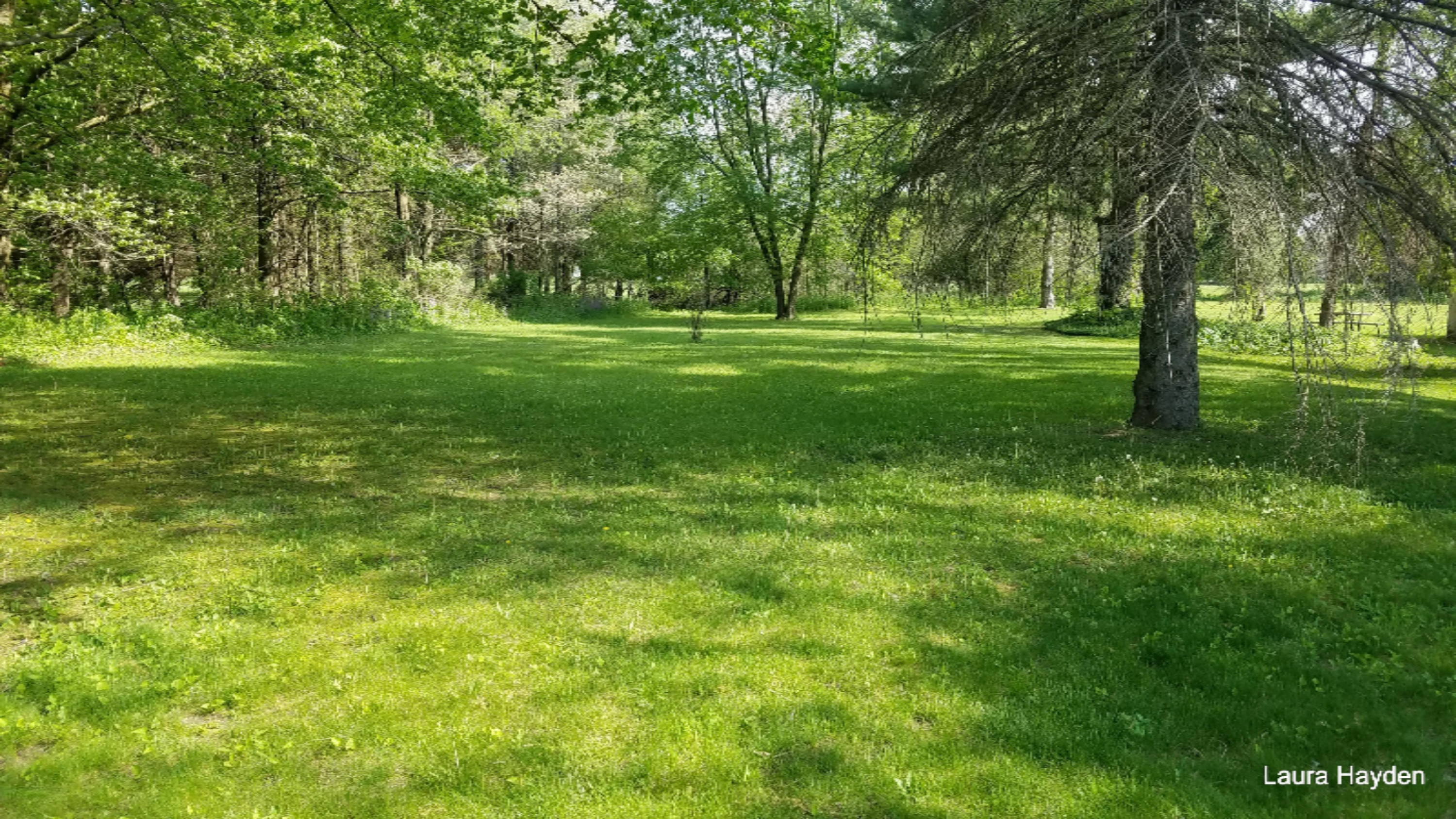 681 Woods Road Orleans, MI 48865 - Photo 1 of 2 20170517_100725