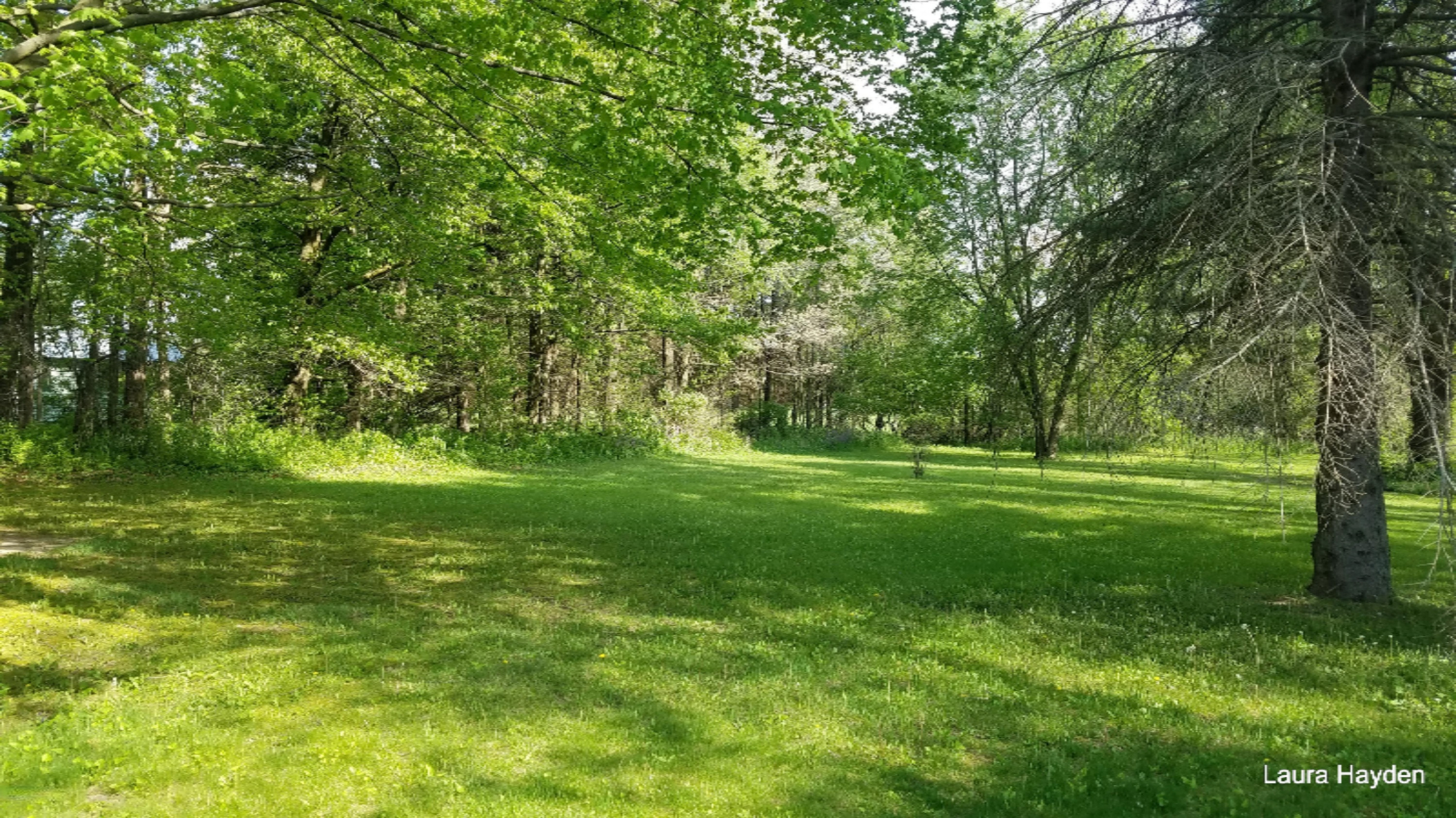 681 Woods Road Orleans, MI 48865 - Photo 2 of 2 20170517_100730
