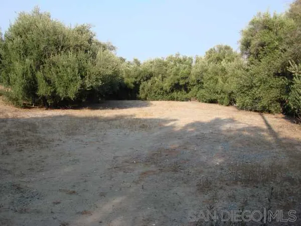a view of a field with trees in the background