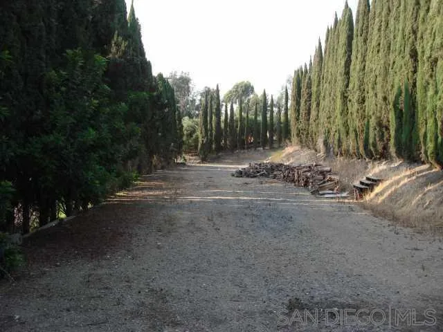 a view of a field with trees in the background