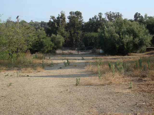 a view of a yard with a tree