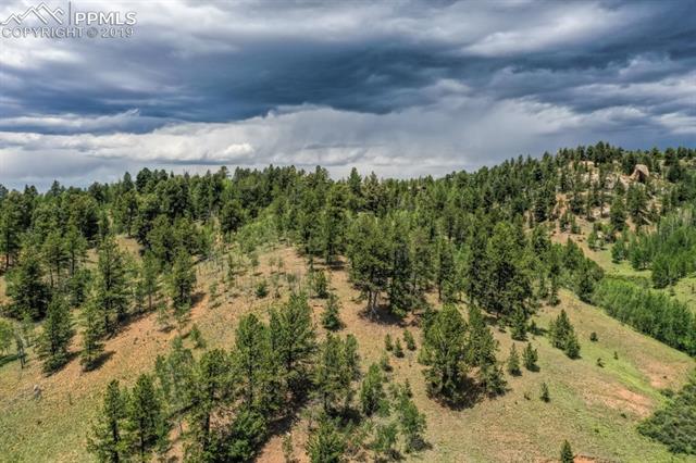 1087 Princess Road Cripple Creek, CO 80813 - Photo 6 of 14 Lot and surrounding area