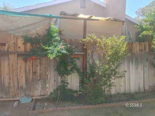 609 East Wilson Avenue Ridgecrest, CA 93555 - Photo 26 of 32 a flower plants with wooden fence