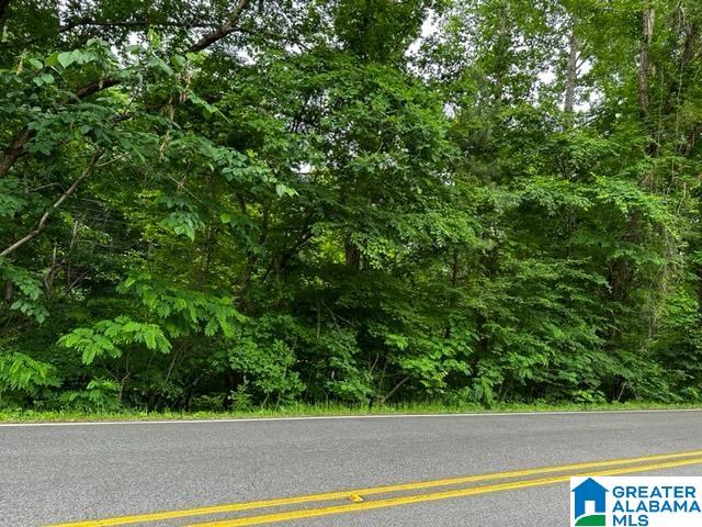 749 North Main Street, Unit 1 Graysville, AL 35073 - Photo 4 of 4