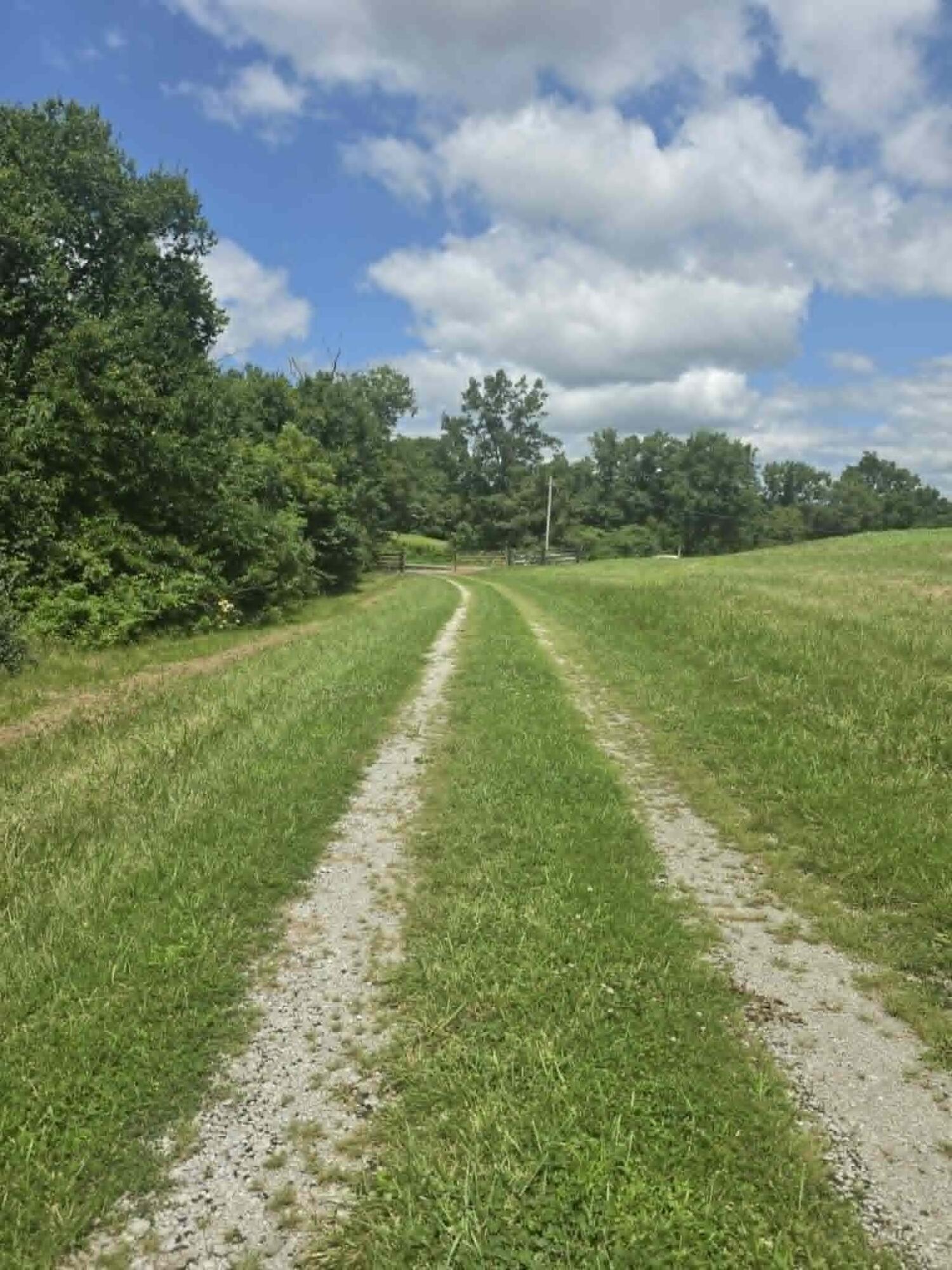 811 Hickory Ridge Road Waddy, KY 40076 - Photo 11 of 79 gravel road entrance 1