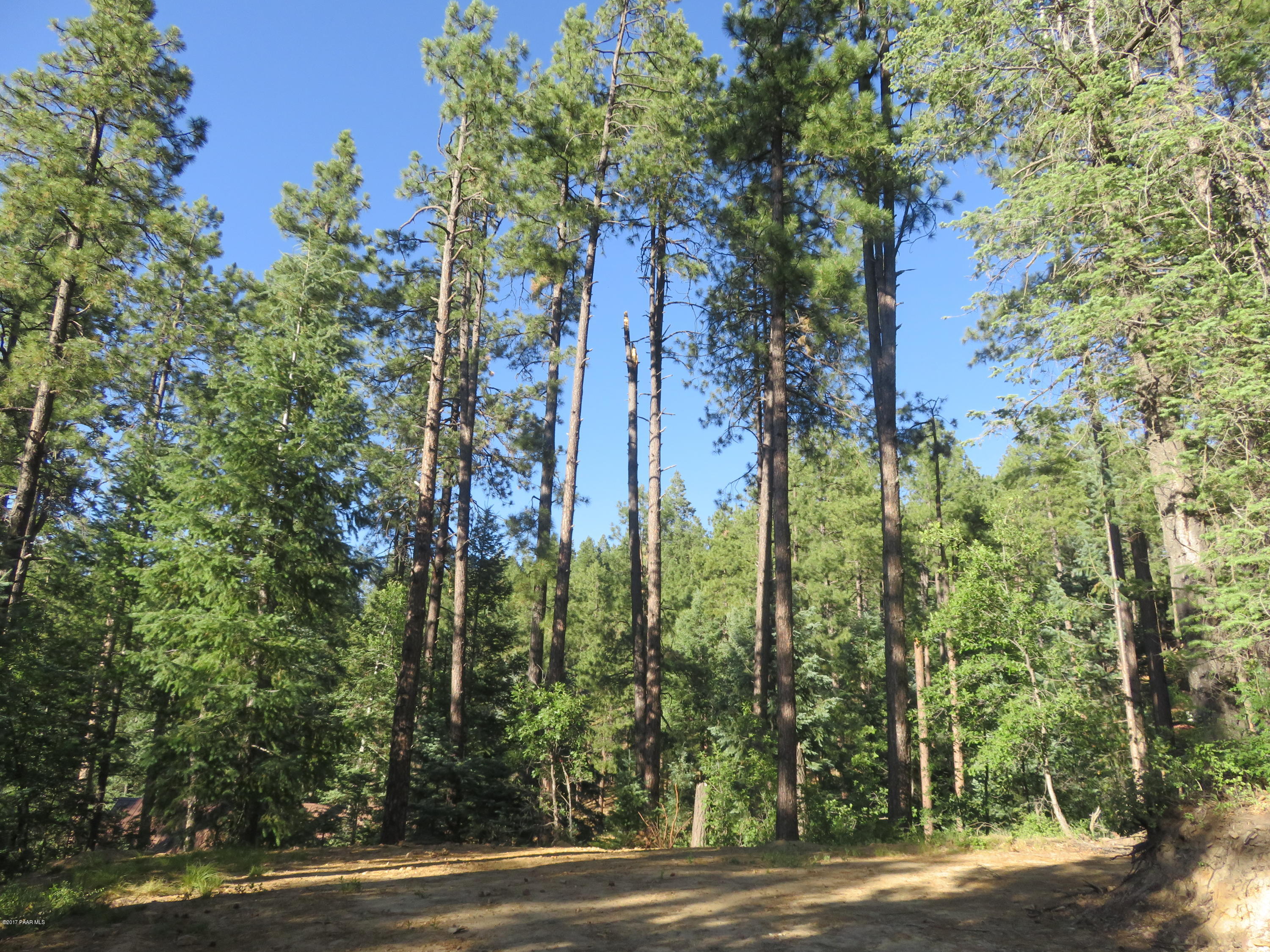 3165 Bluff Road Prescott, AZ 86303 - Photo 7 of 8 Tall Pines & Blue Skies