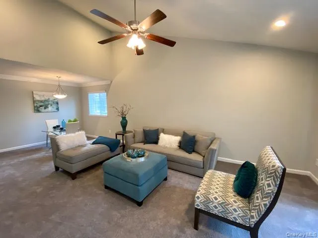 a living room with furniture and a rug