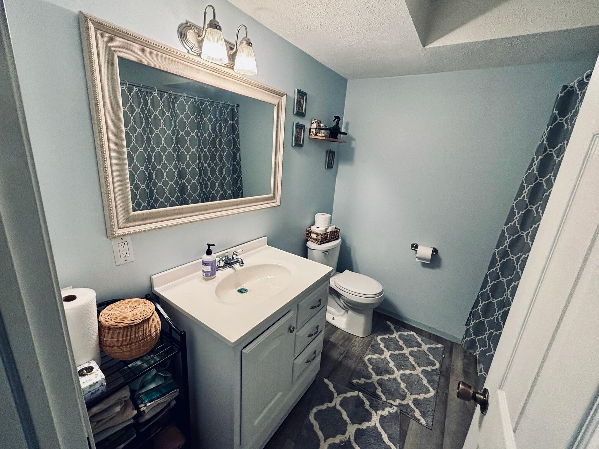6097 Johnson Road Greenville, MI 48838 - Photo 16 of 22 Lower Level Bathroom