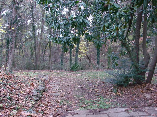 705 Baker Road Smyrna, TN 37167 - Photo 5 of 20 Wonderful, park-like view from the back of the house. Patio at basement level also.