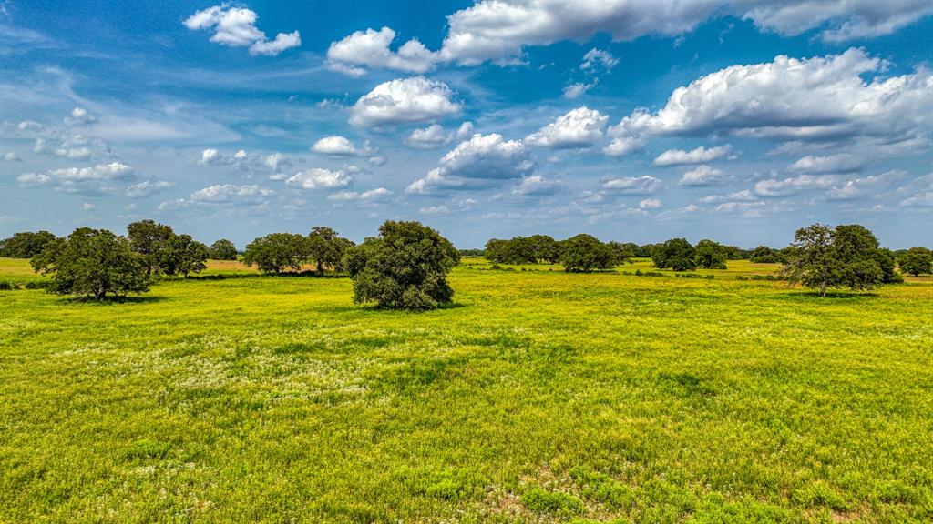 11500 Bowden Road Lipan, TX 76462 - Photo 2 of 32 View of landscape featuring a rural view