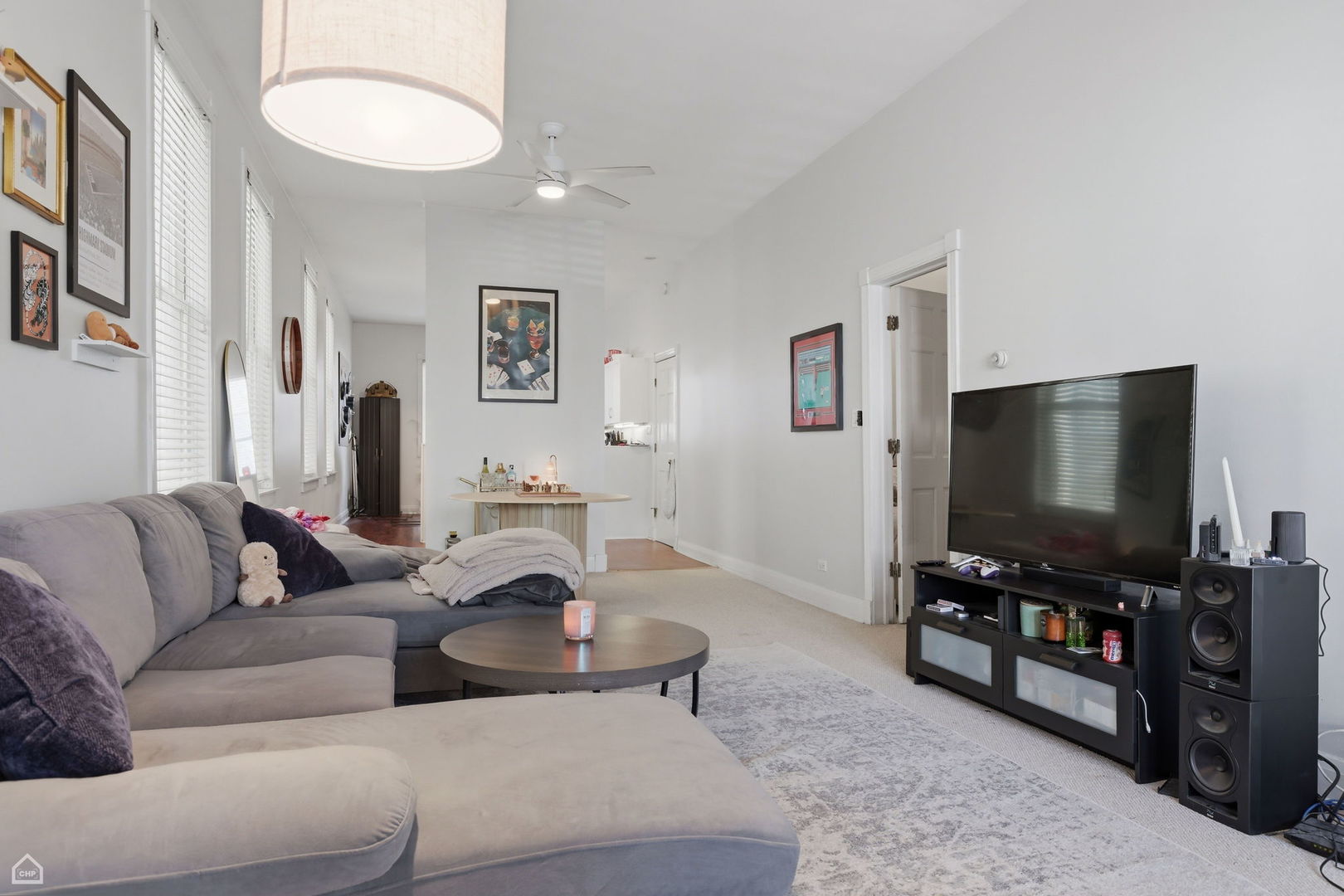 1337 West Barry Avenue Chicago, IL 60657 - Photo 3 of 44